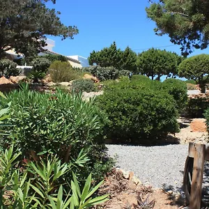 https://arenal-dor.ibizaislandhotels.net